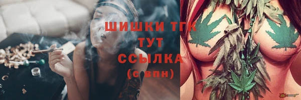 сатива Богородицк