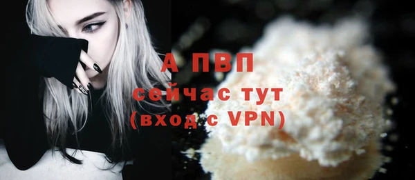 дживик Богданович