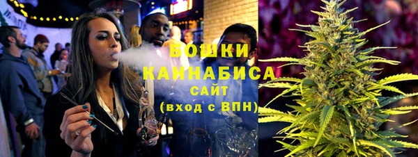 сатива Богородицк