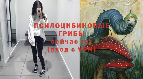 сатива Богородицк