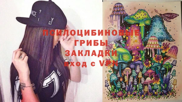 сатива Богородицк