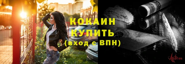 сатива Богородицк